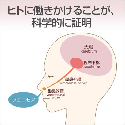 ヒトに働きかけることが、科学的に証明