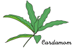 カルダモン