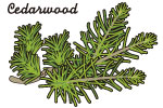 シダーウッド