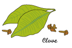 クローブ