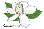 ガーデニア