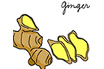 ジンジャー