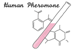 ヒトフェロモン