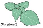 パチュリ