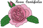 ローズ