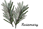 ローズマリー