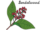 サンダルウッド